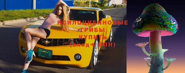 индика Армянск