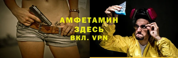 индика Армянск