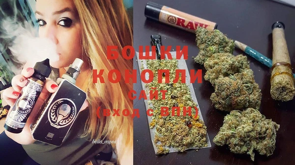 индика Армянск