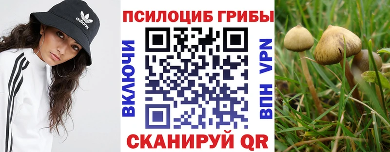 Галлюциногенные грибы GOLDEN TEACHER  купить  сайты  kraken ONION  Тетюши 